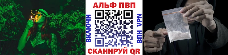 как найти закладки  Нахабино  Альфа ПВП СК КРИС 