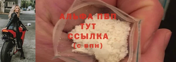 крисы Баксан