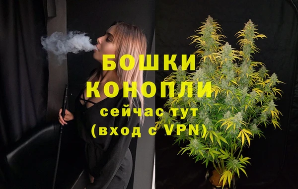 крисы Баксан