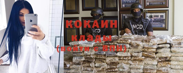 крисы Баксан