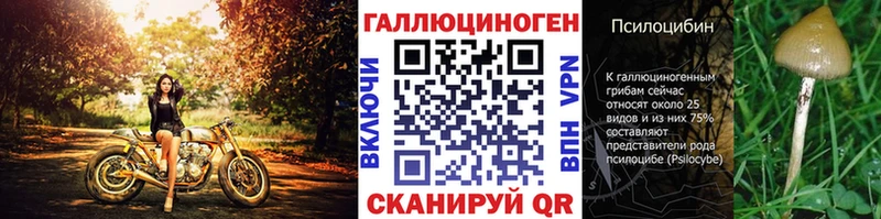 хочу наркоту  Нахабино  Галлюциногенные грибы мицелий 
